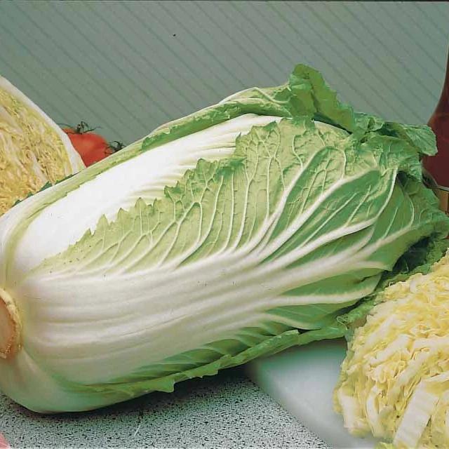 Chinakohl Pe-Tsai