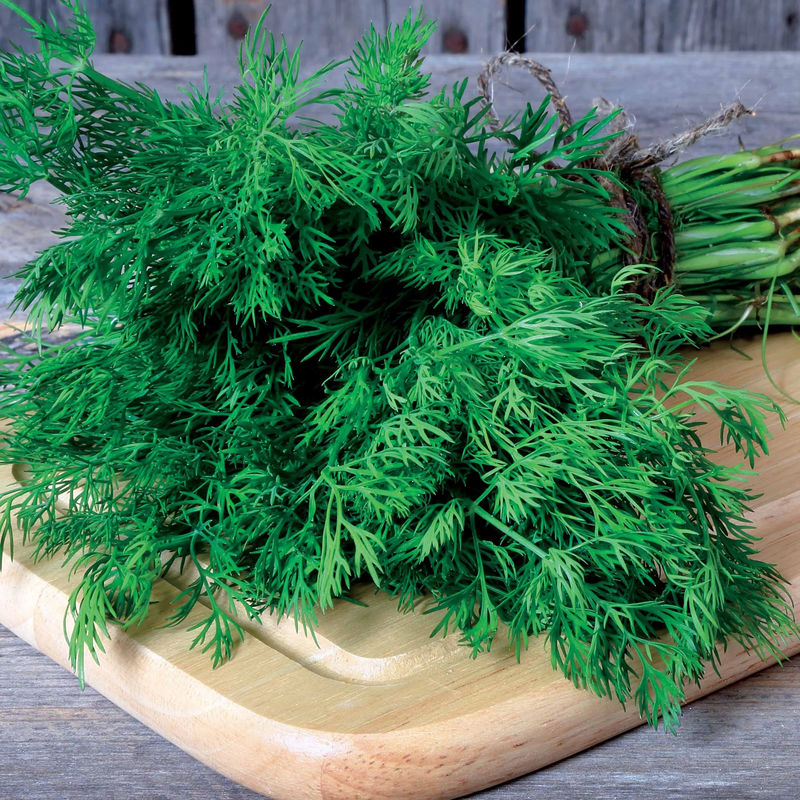 Dill Bouquet