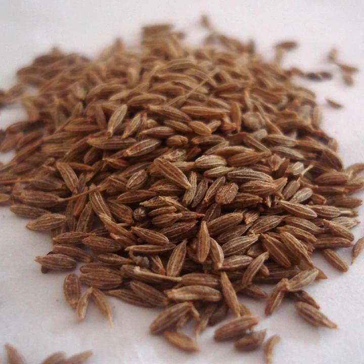 Kümmel