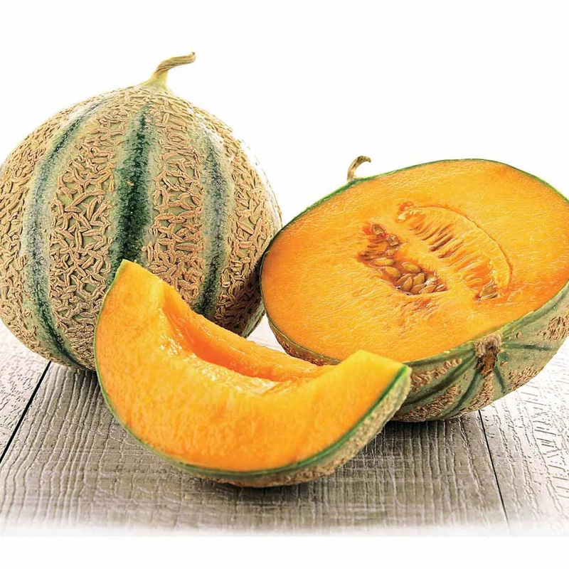 Zuckermelone Stellio F1