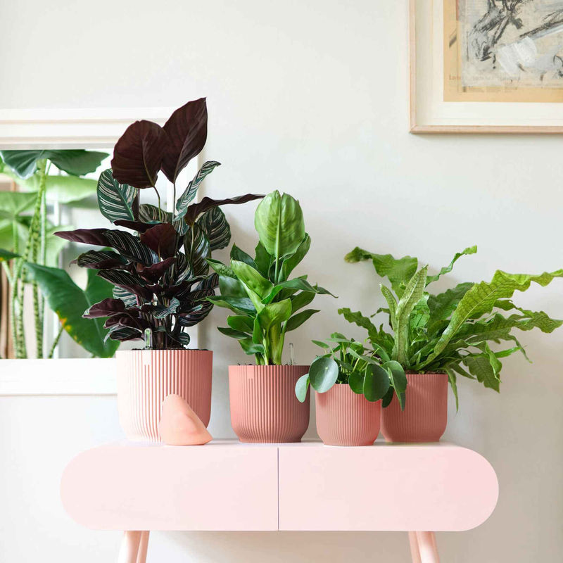 Elho Blumentopf Vibes Fold rund rosa - Innentopf