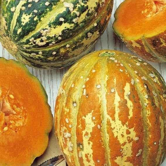 Zuckermelone Oranje Ananas