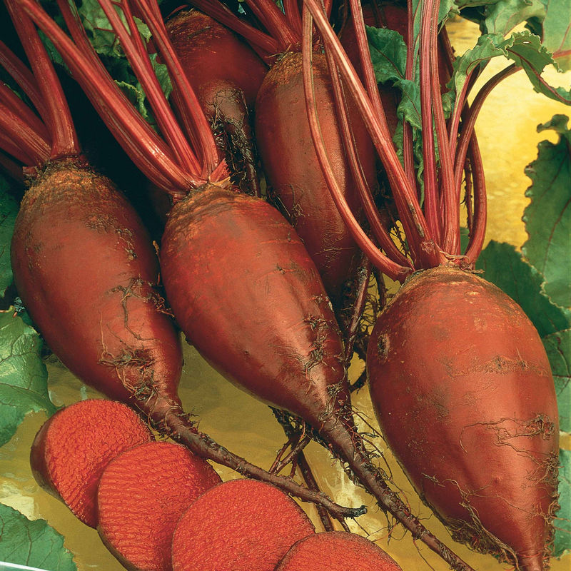 Rote Bete Krötchen