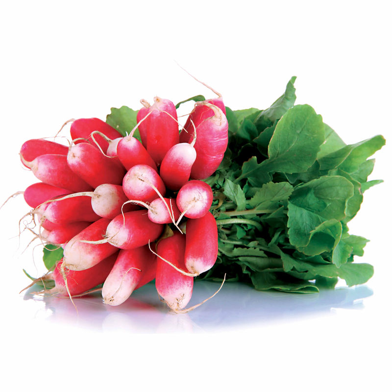 Rettich 18-Tage halblang Bio
