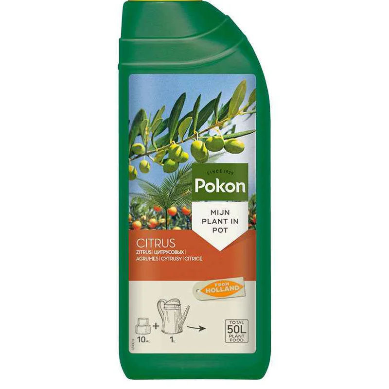 Pokon Flüssigdünger für Zitronenbäume & mediterrane Pflanzen