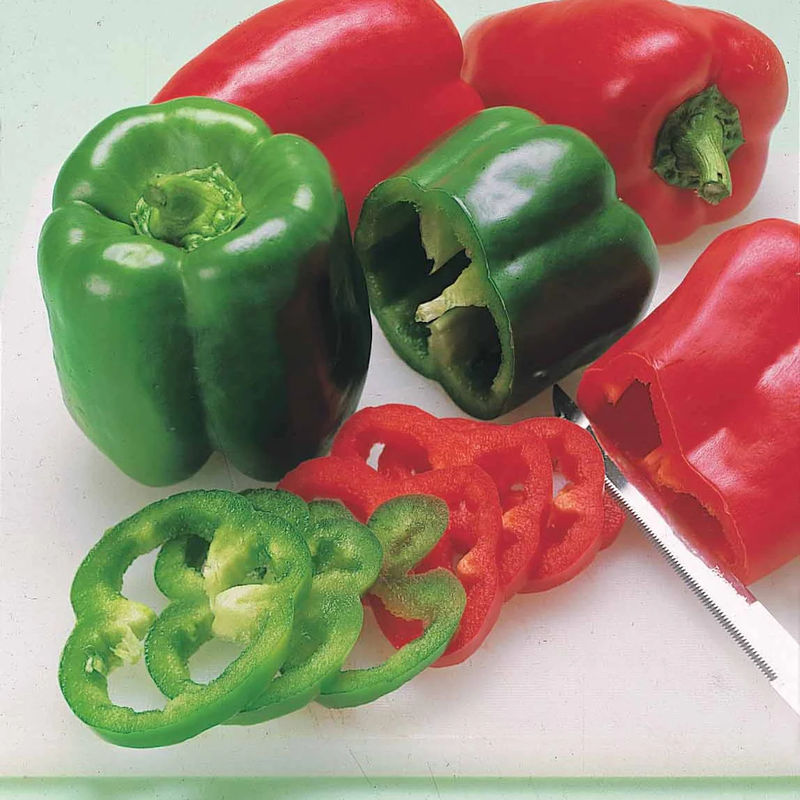 Paprika Lamuyo F1