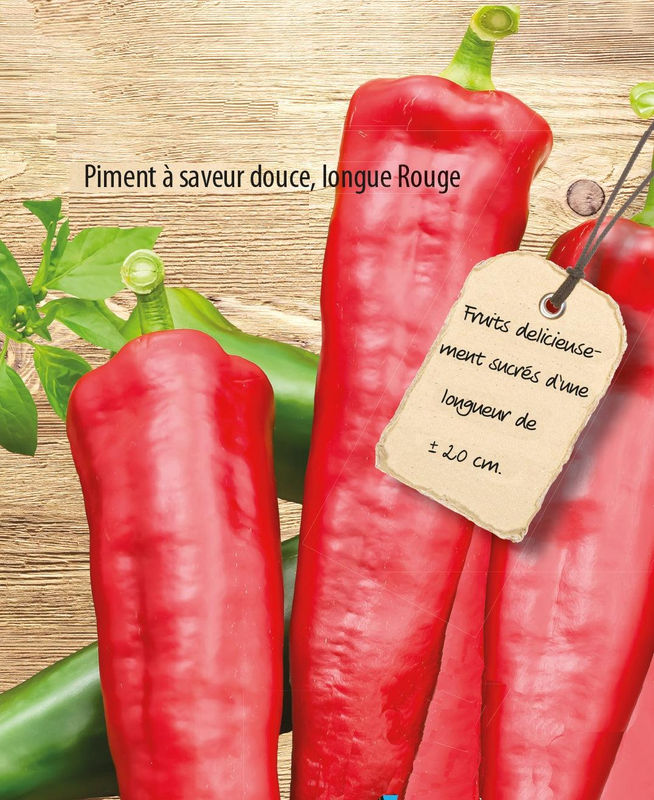 Paprika Medrano F1