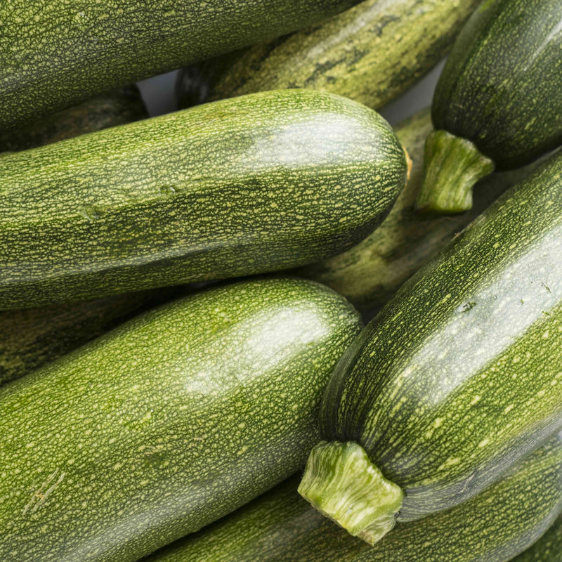 Zucchini Tarmino F1