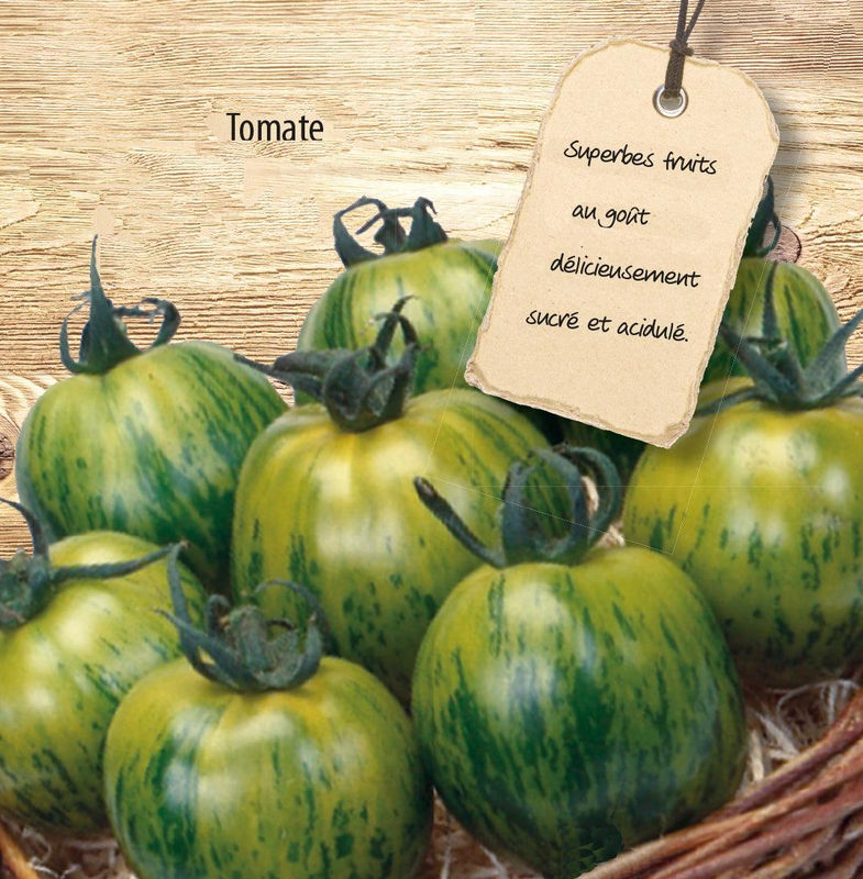 Tomato Green Zebra