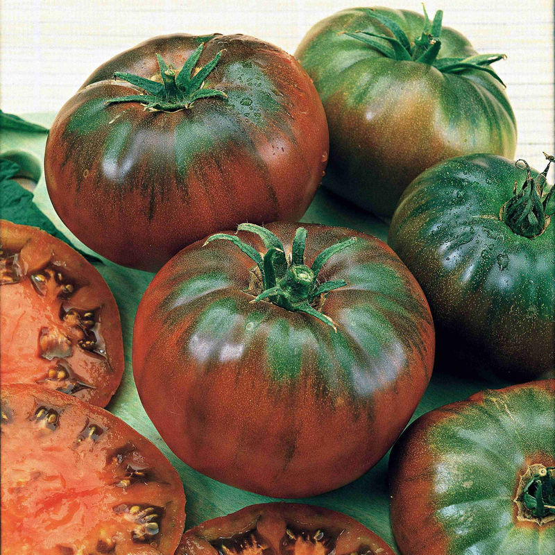 Schwarze Fleischtomate 'Noire Russe'