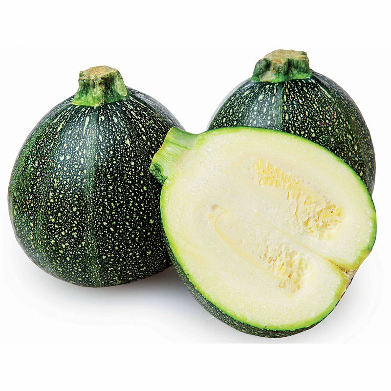 Zucchini De Nice a fruit rond