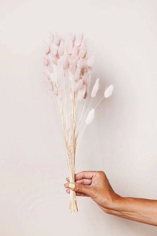 Blush Preserved Bunny Tail