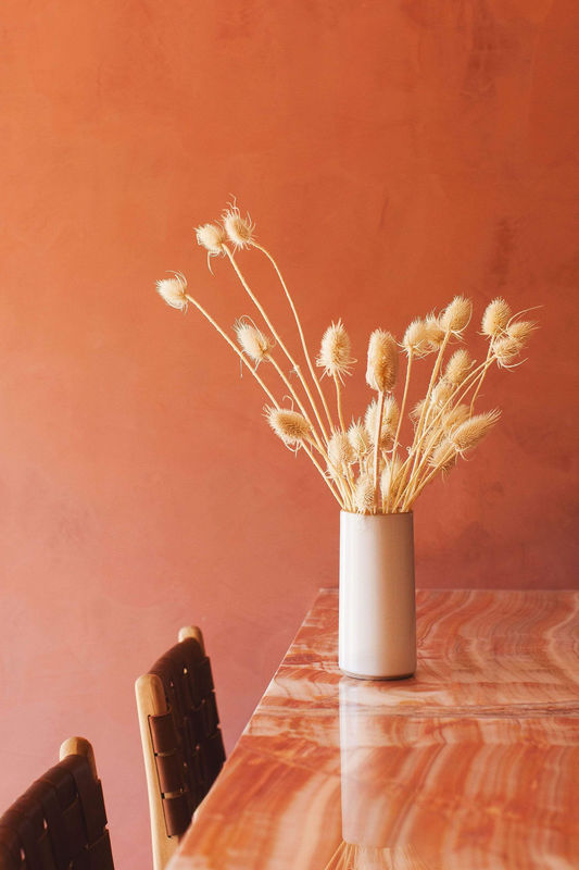 Dried White Thistle