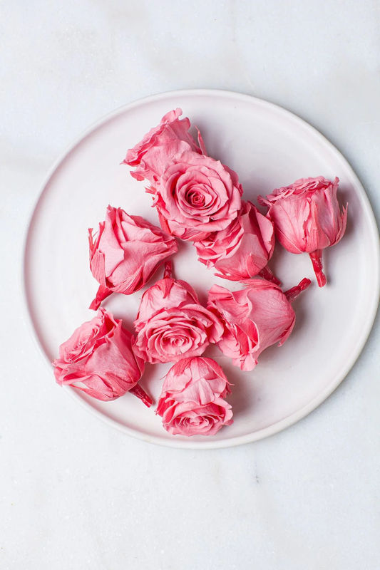 Candy Pink Preserved Roses