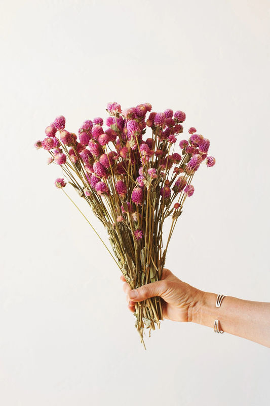 Dried Fuchsia Globe Amaranth
