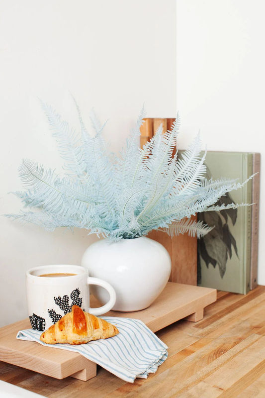 Preserved Baby Blue Star Fern