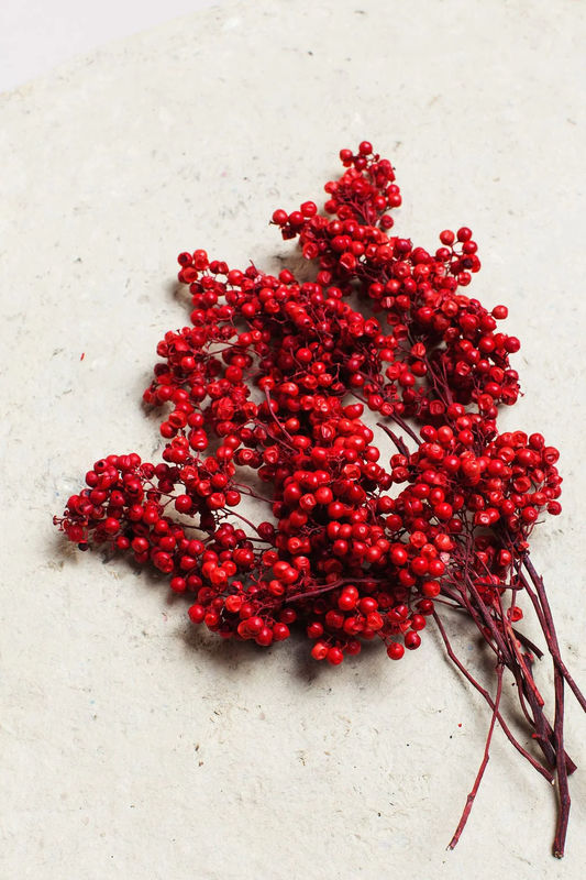 Red Preserved Pepperberry
