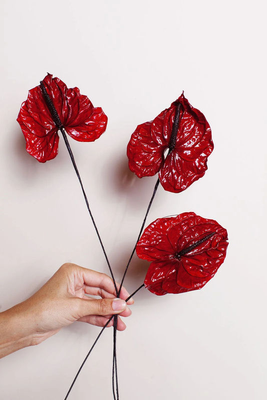 Preserved Red Anthurium