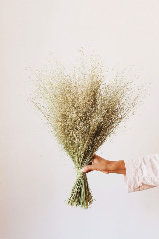 Dried Indian Rice Grass