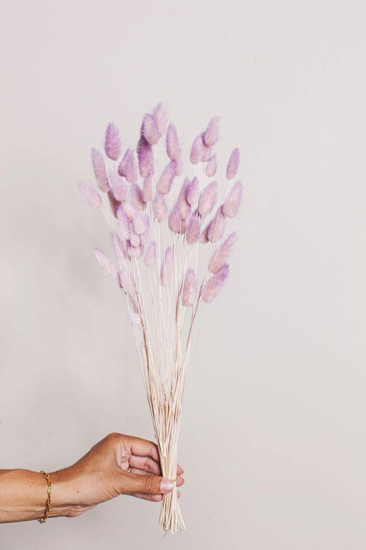Preserved Two Tone Lavender Blush Bunny Tail