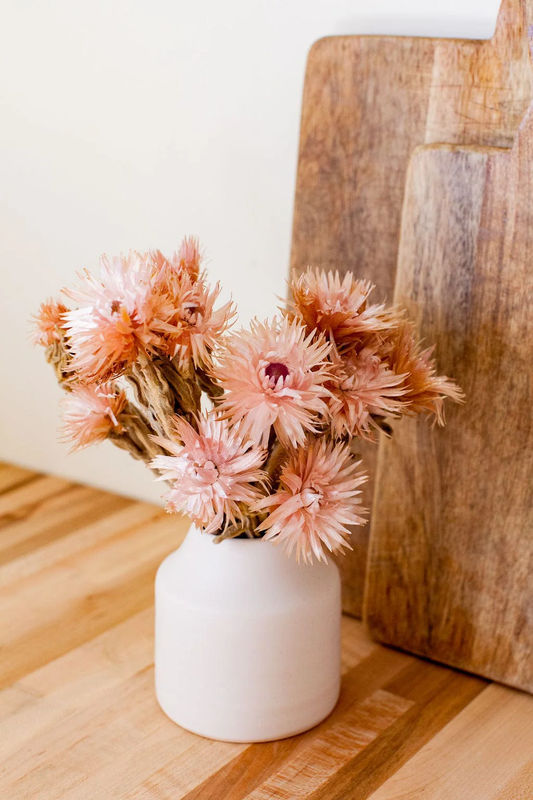 Mauve Silver Daisy