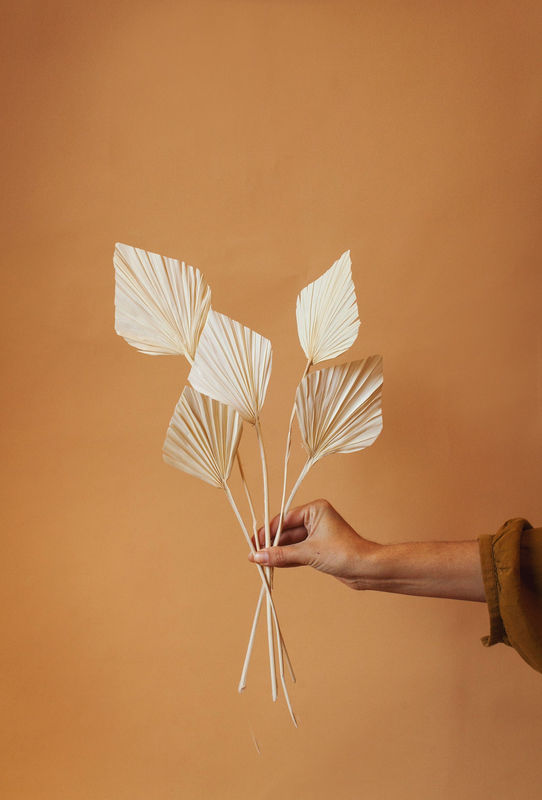 Dried White Spade Palms
