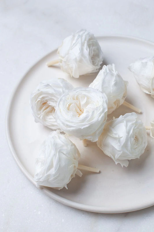 Preserved White Garden Roses