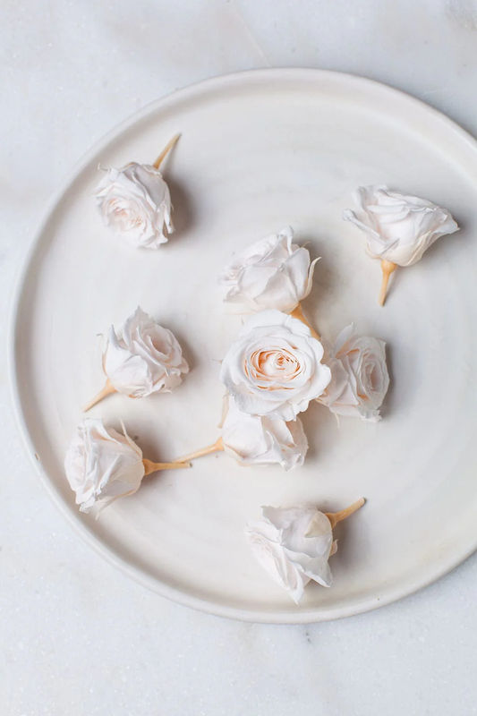 Preserved Mini Pale Blush Roses