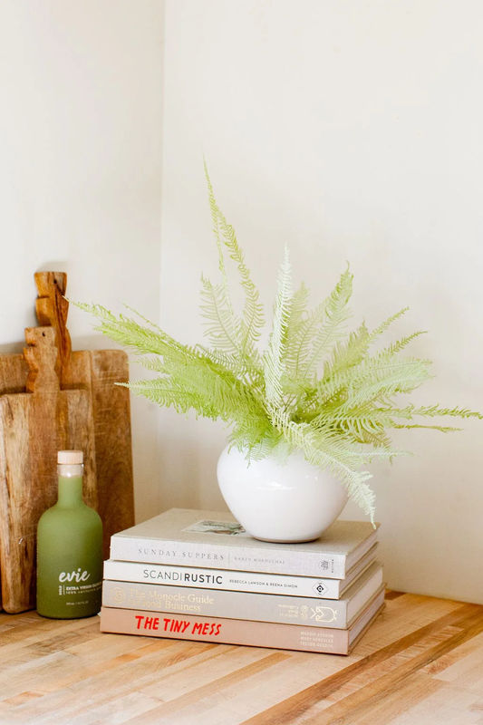 Spring Green Star Fern Bunch