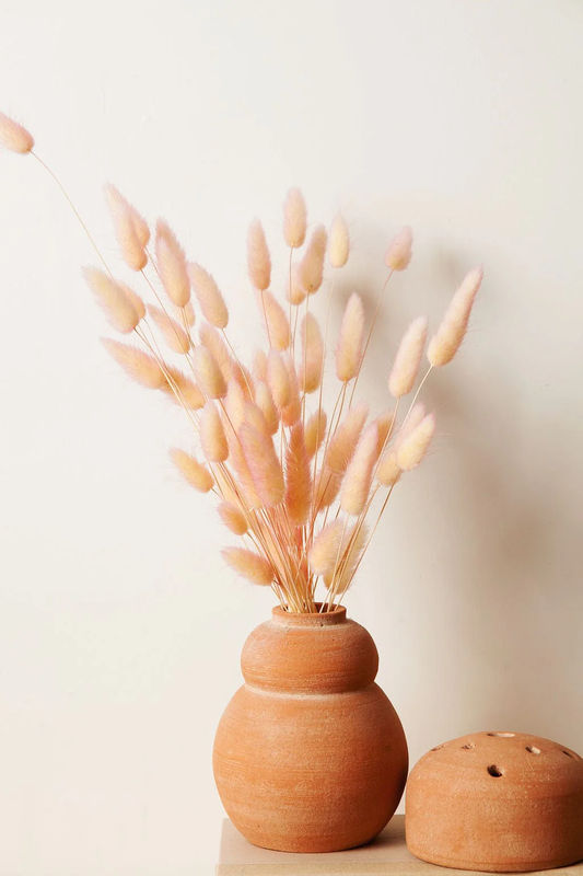 Preserved Two Tone Apricot Bunny Tail