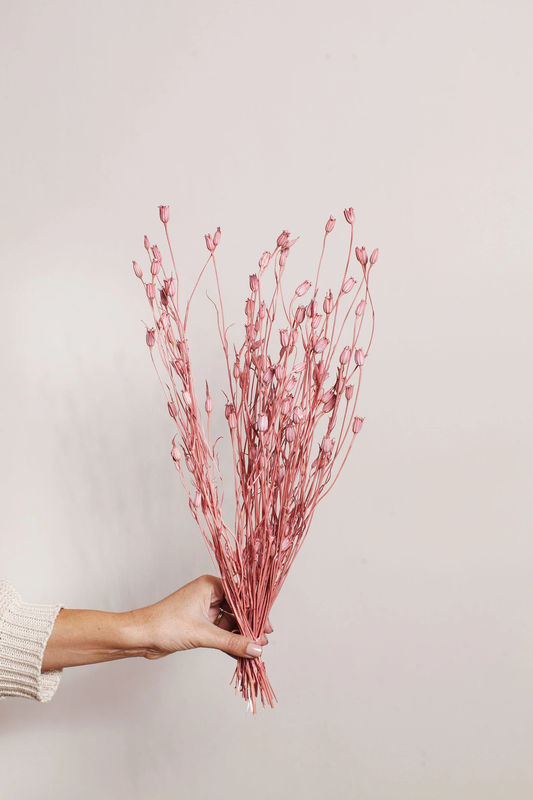 Mauve Dried Florentiner Flower