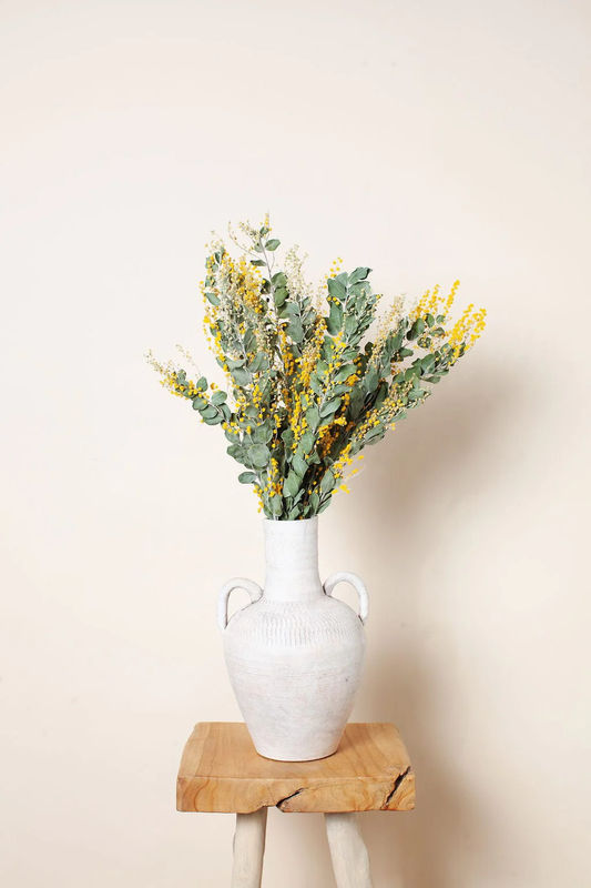 Dried Mimosa Flower
