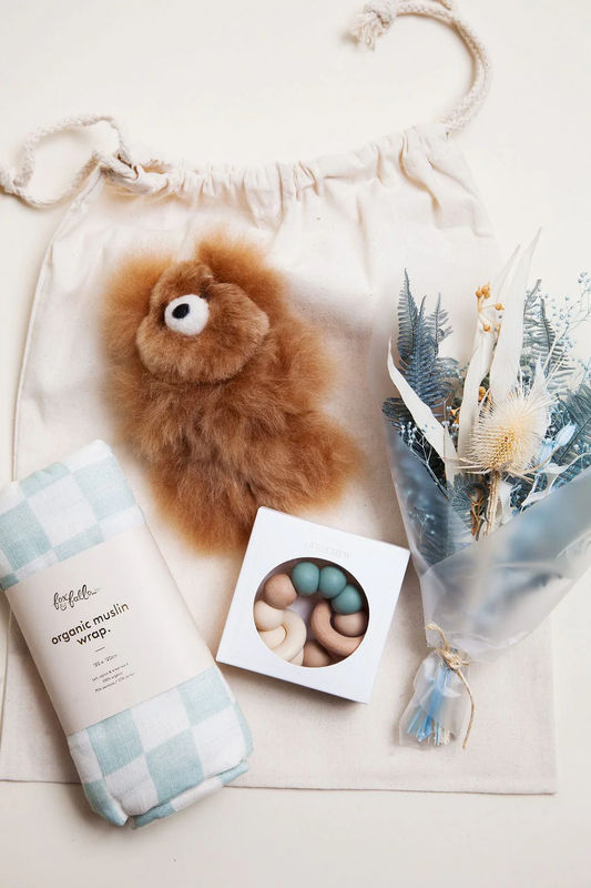 Baby Boy Gift Set