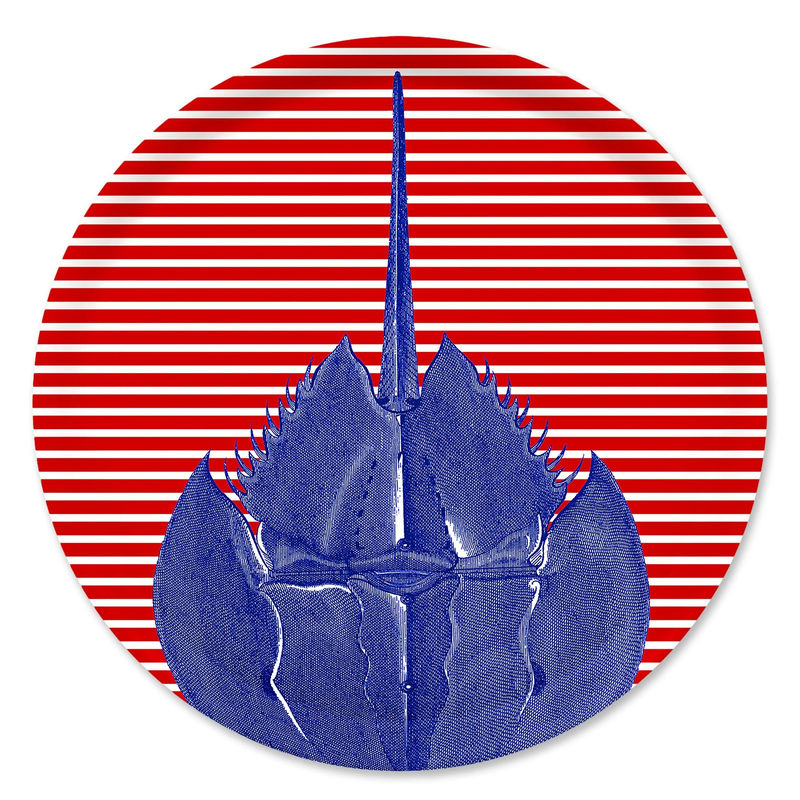 Horseshoe Crab Large Round Birchwood Tray
