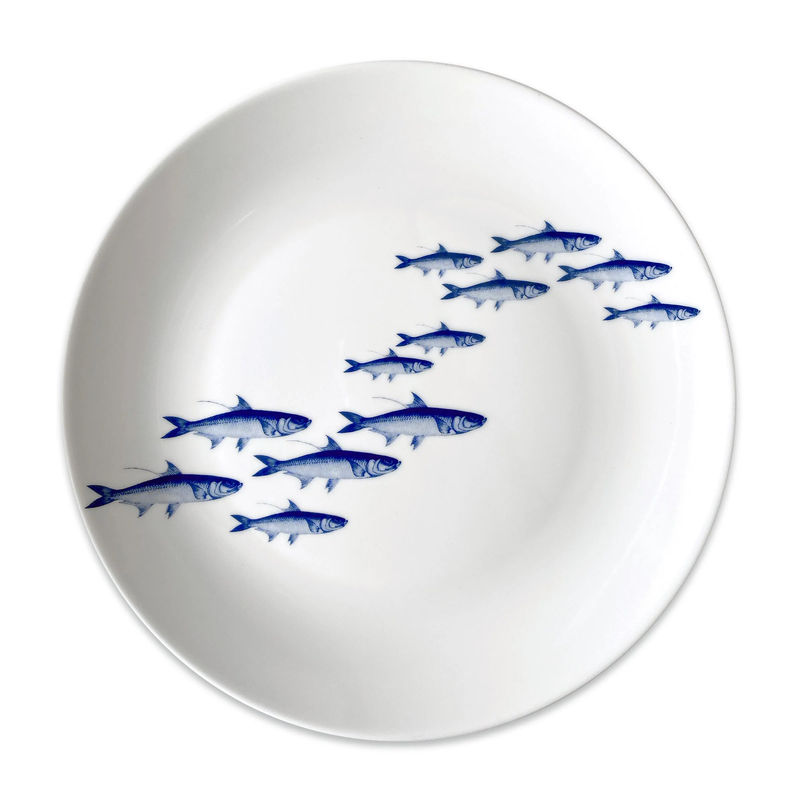 School of Fish Coupe Dinner Plate - Size:Single