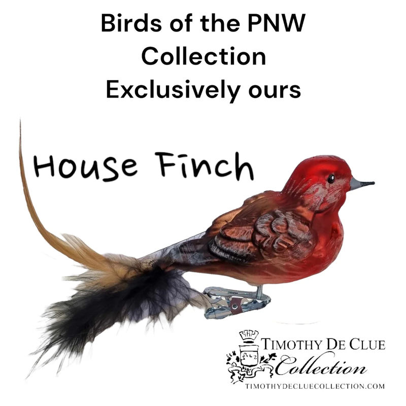 House Finch Clip Bird feather Tail- Hand Blown Glass Christmas Ornament | Made in Germany