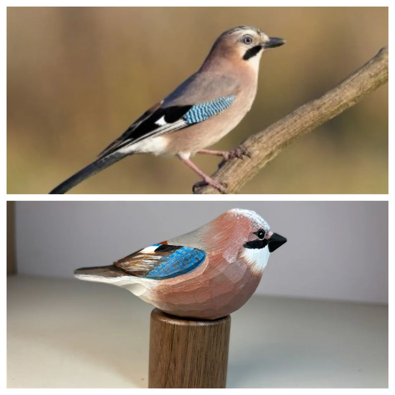 Eurasian Jay